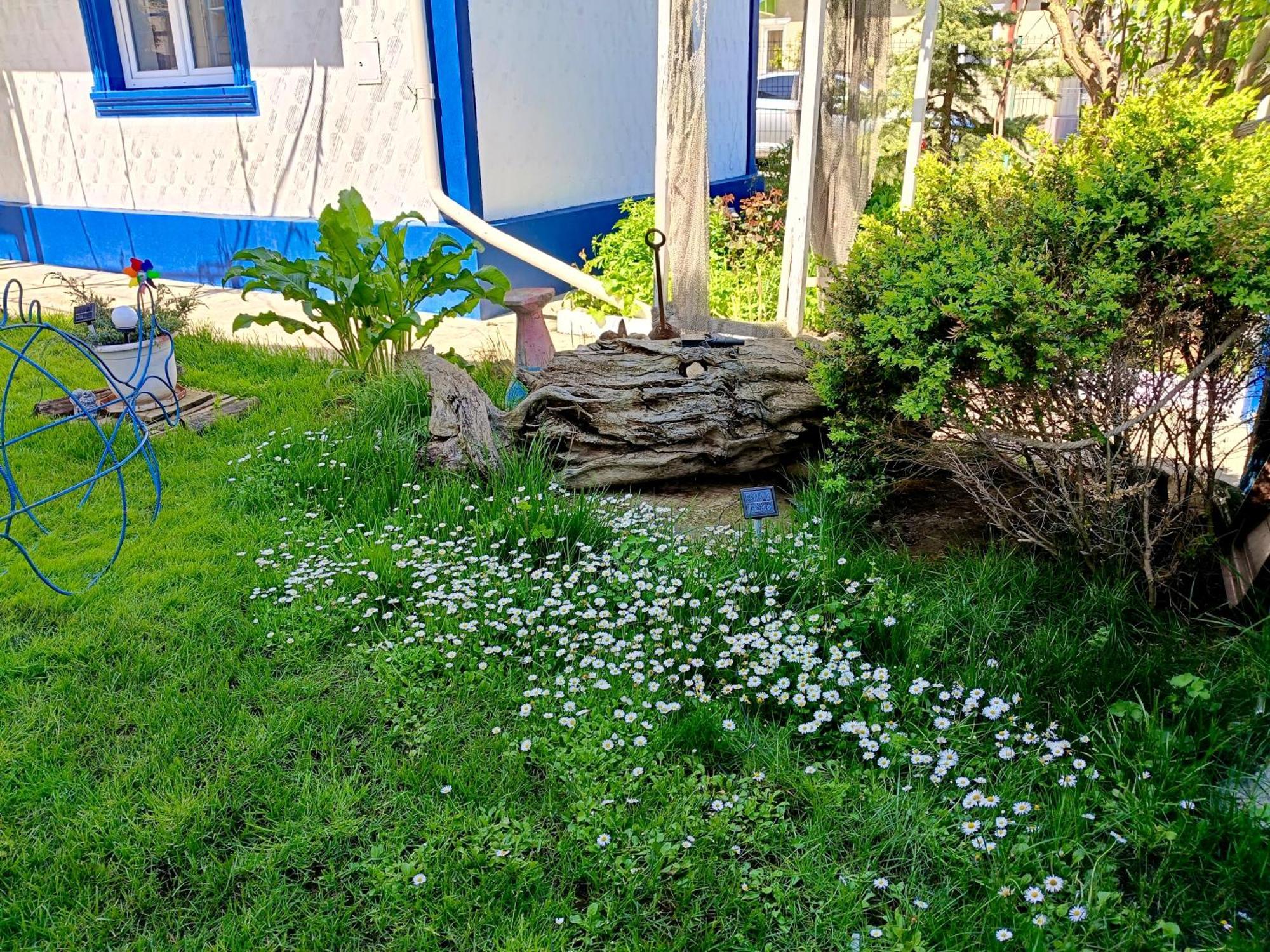 Casa Babica Guesthouse Costinesti Exterior foto